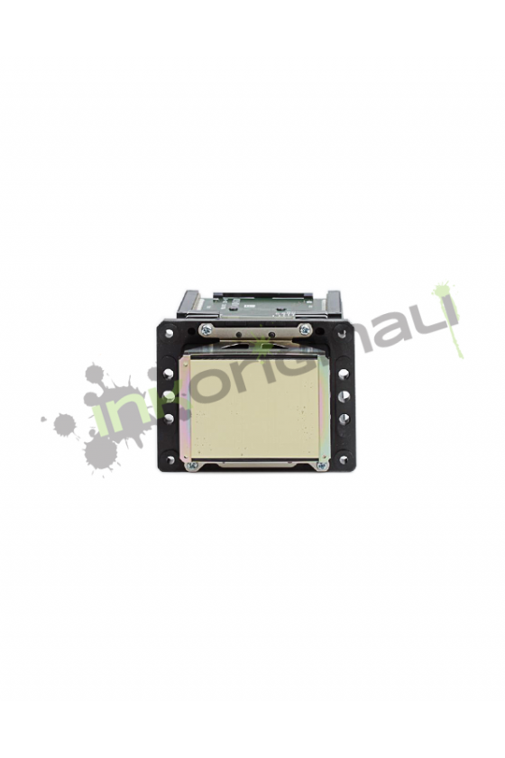 DX6 Printhead Roland