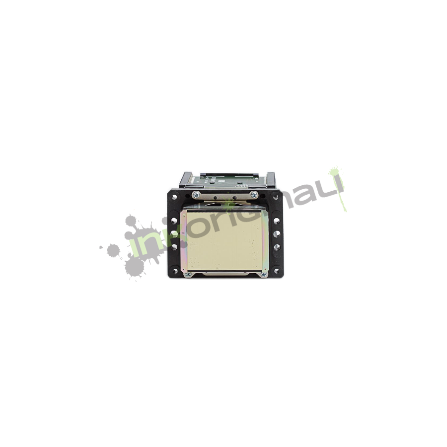 DX6 Printhead Roland