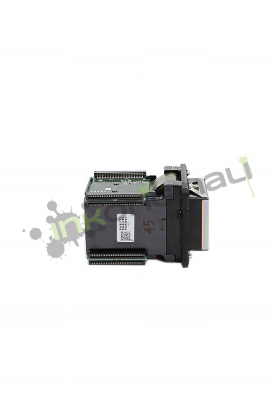 DX6 Printhead Roland