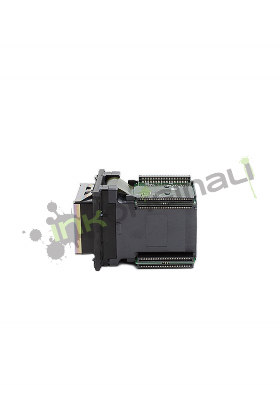 DX6 Printhead Roland